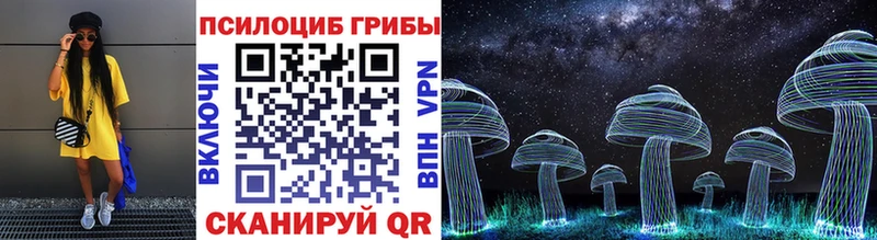 Псилоцибиновые грибы GOLDEN TEACHER Серов